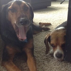 Meet your Posher, Mackenzie